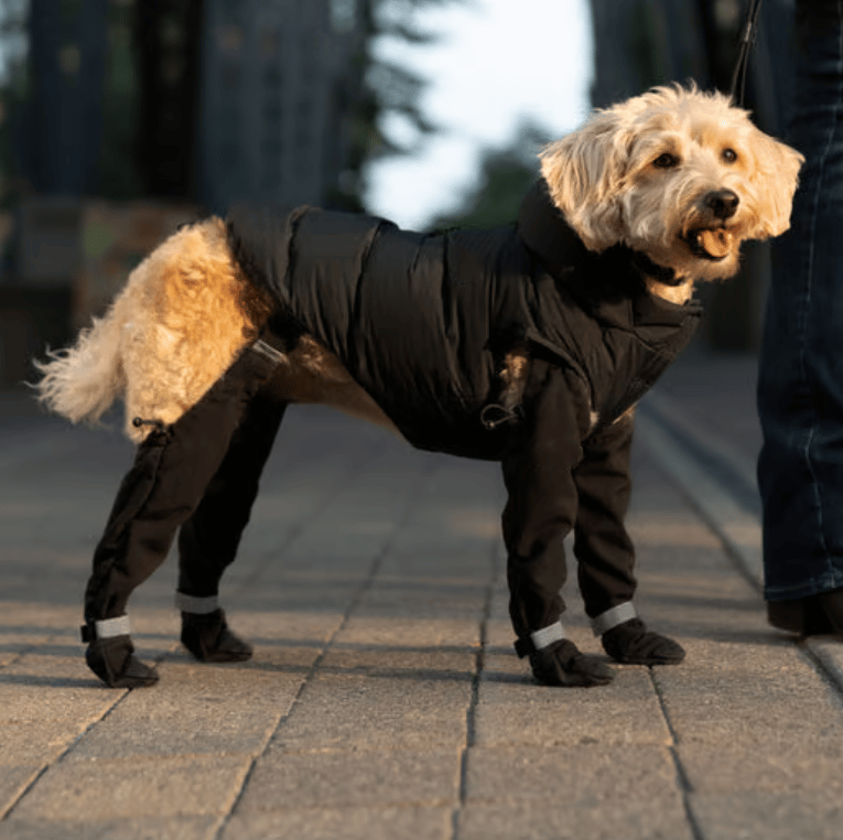 Suspender Boots