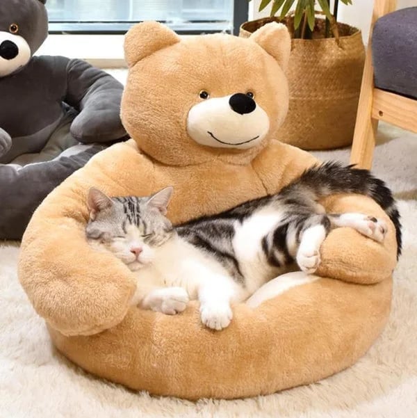 🐶🐱 Teddy bear pillow cat and dog beds